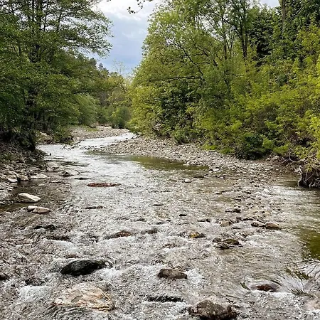 Maison Lgbt Des Monts Bleus * Saint-Roman-de-Tousque